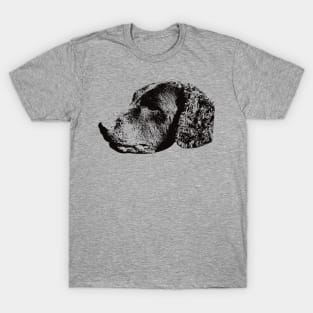 Curly Coated Retriever gift for Retriever Owners T-Shirt